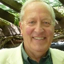 David Lemon, David Lemon Consultants