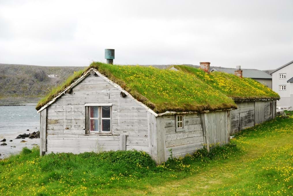 The environmentally-friendly roof (Day 113)
