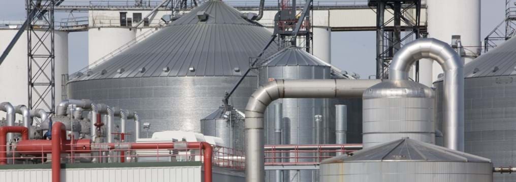 Italy’s commitment to a biofuelled future (Day 145)