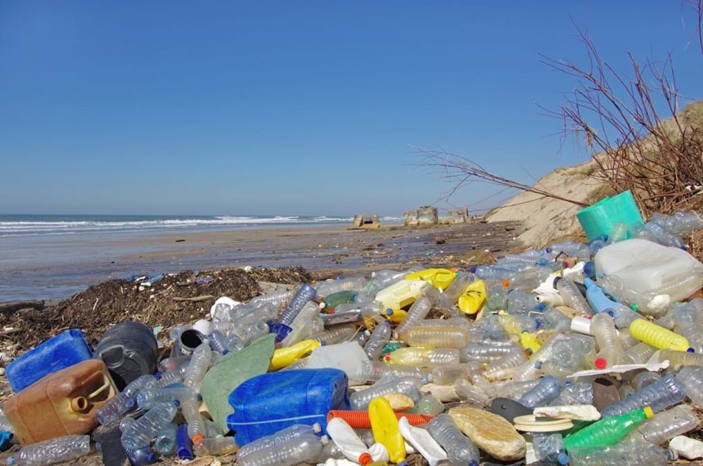 Plastic waste and oceans of opportunity (Day 151)