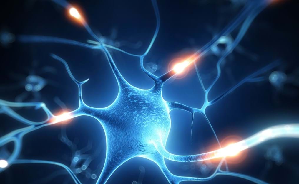 Engineering hydrogels to treat spinal cord injury (Day 308)