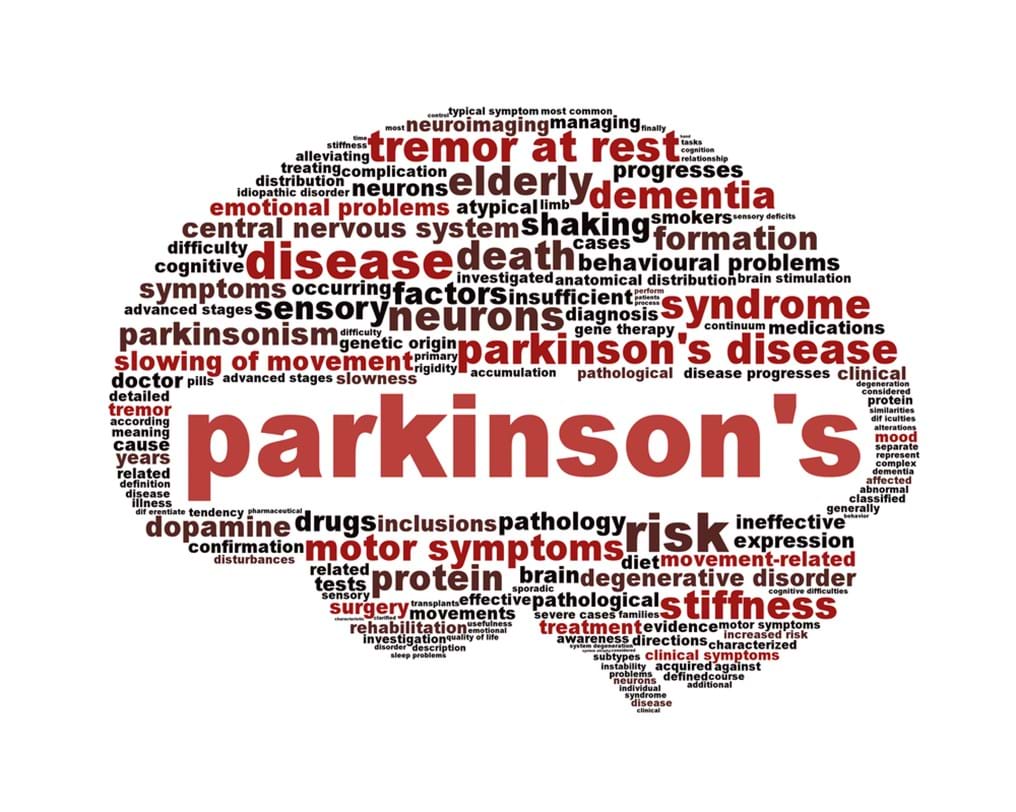 Nanofibres can ease the pain of Parkinson's disease (Day 331)