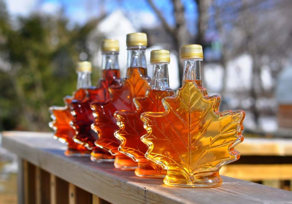 Maple syrup magnifies antibiotic attack (Day 336)