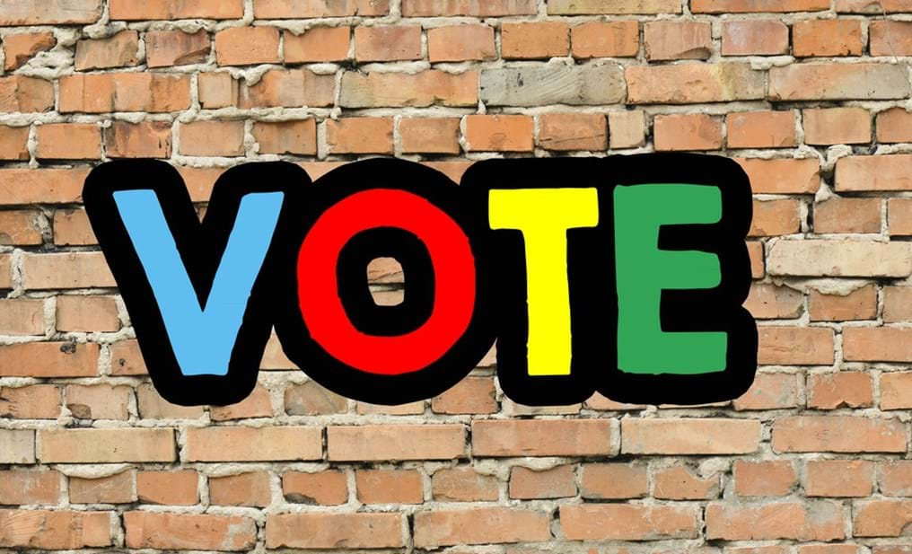 Make your voice heard – vote! (Day 345)