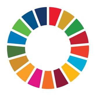 Chemical engineering and the UN's Sustainable Development Goals (SDGs)