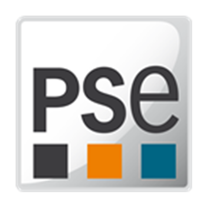 Process Systems Enterprise (PSE)