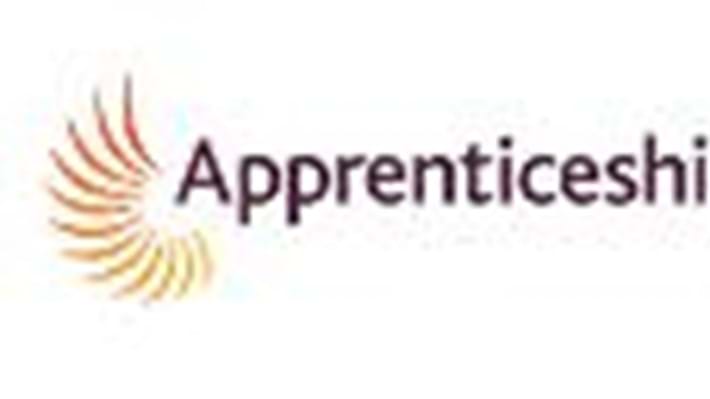 Employers urged to seize Apprenticeships reform opportunity