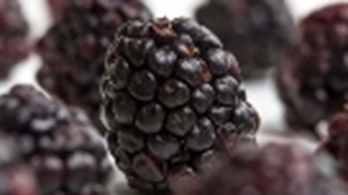 Squeezing the health out of blackberries