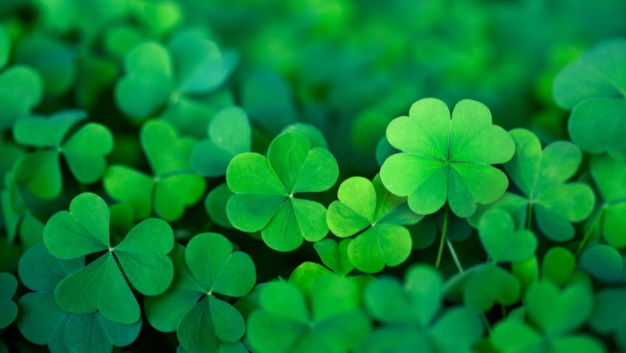 Webinar: Do You Feel Lucky? Learnings From Near-miss Case Studies