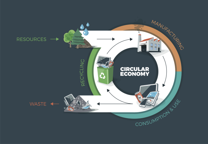 Mining in the Circular Economy