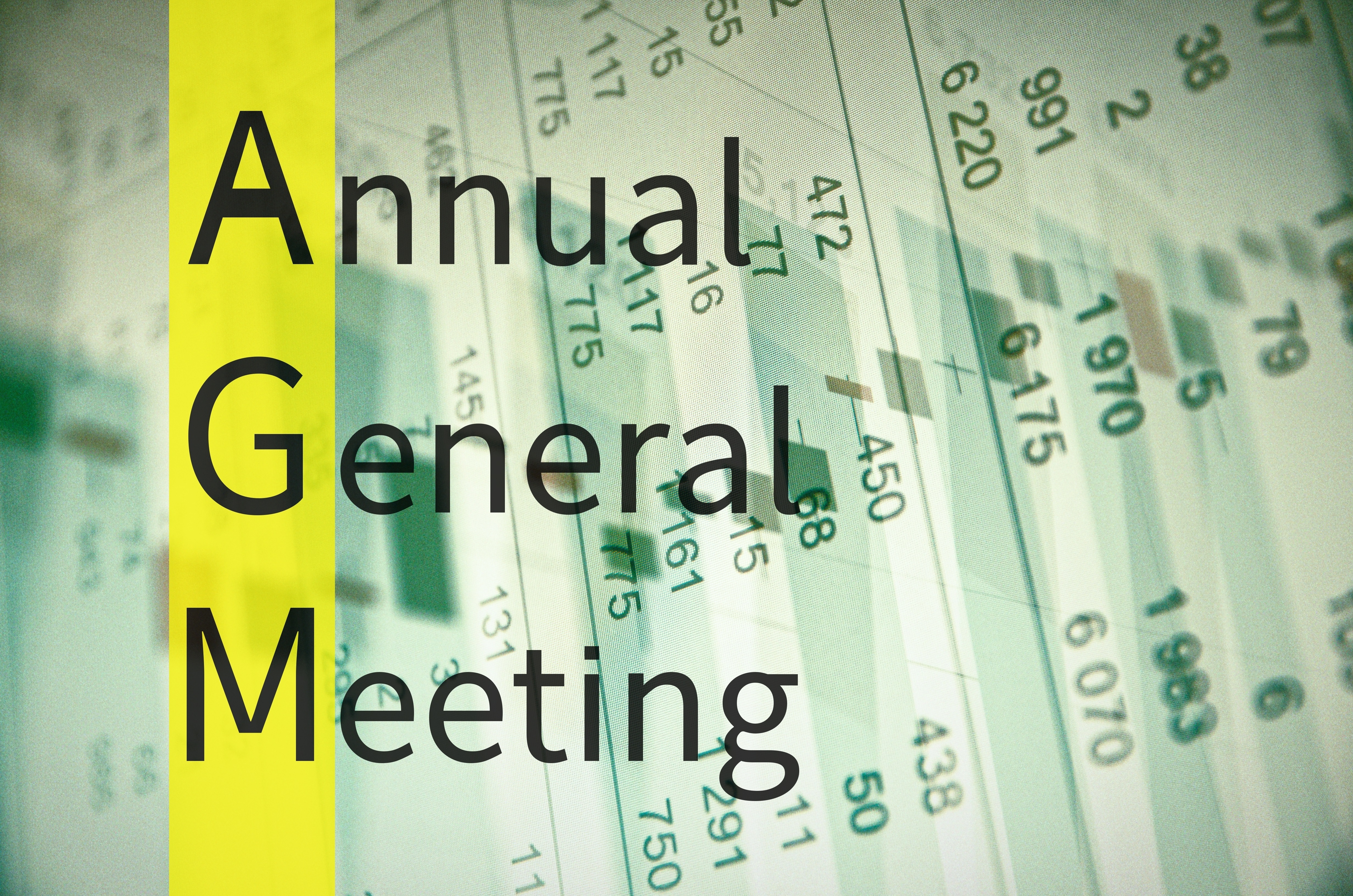 Annual General Meeting 