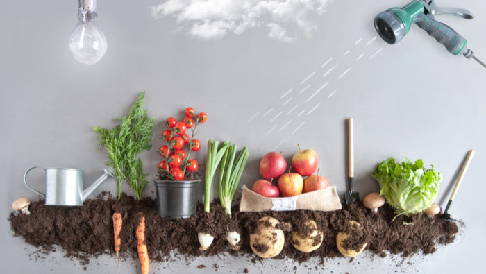 Webinar: The Urban Food-Energy-Water-Waste Nexus: Where Urban Agriculture Meets Organic Waste Management