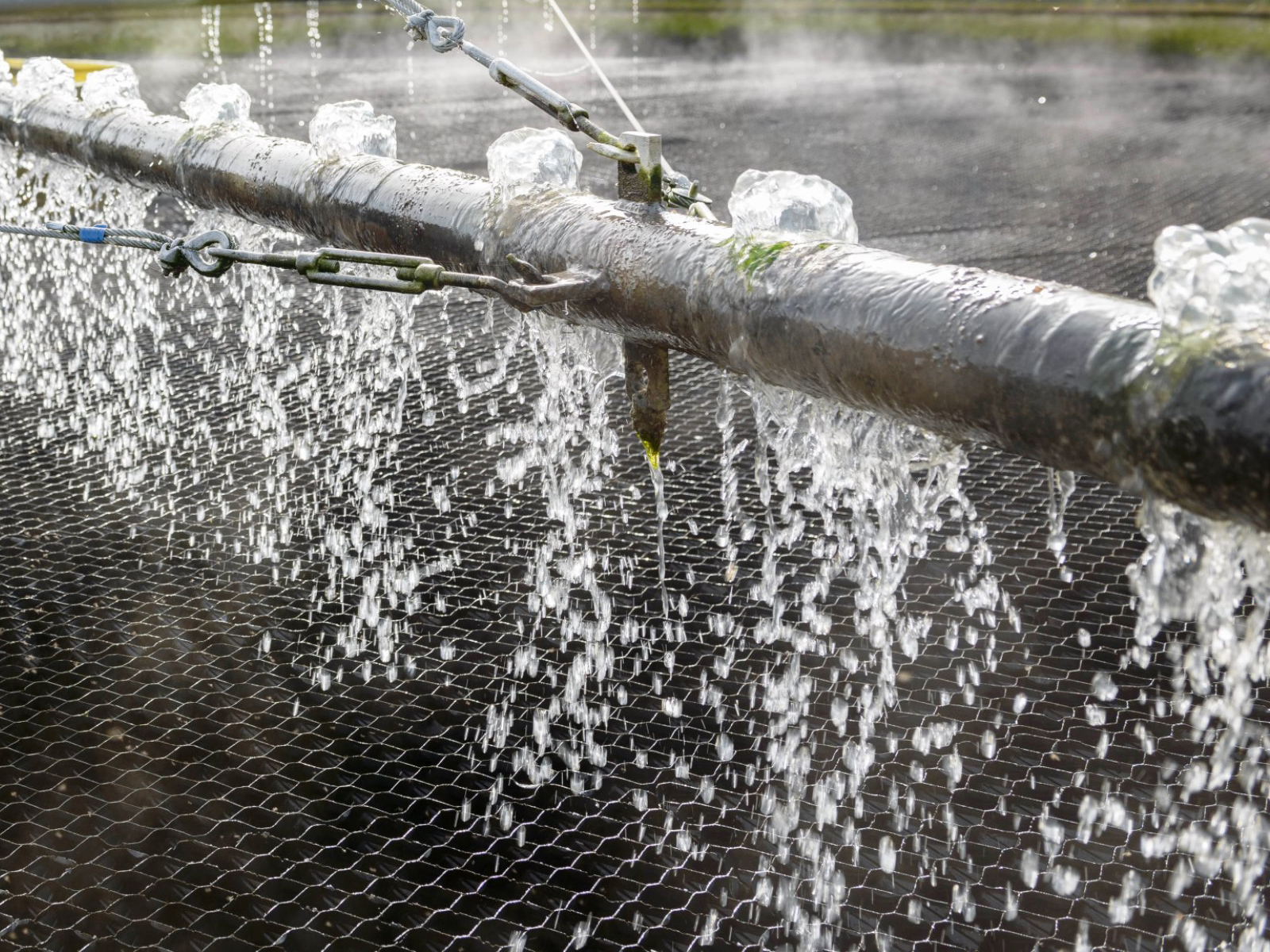 7th UK Wastewater Network Conference