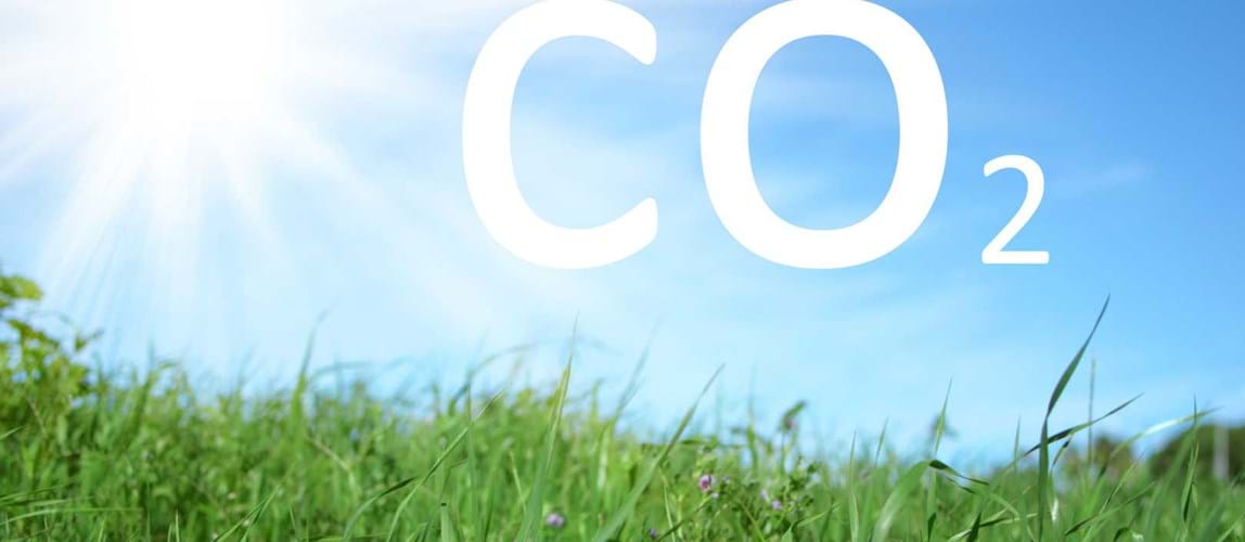 Webinar: A Roadmap to Decarbonization in Steam Crackers