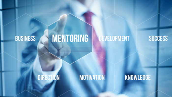 Training Session for Mentors