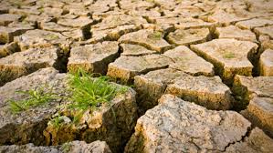 Webinar: Climate Change Challenges