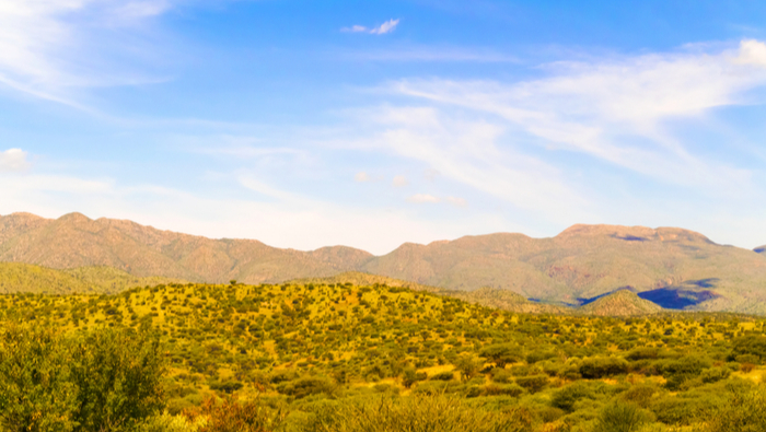 Webinar: 50 Years of Potable Reuse in Windhoek