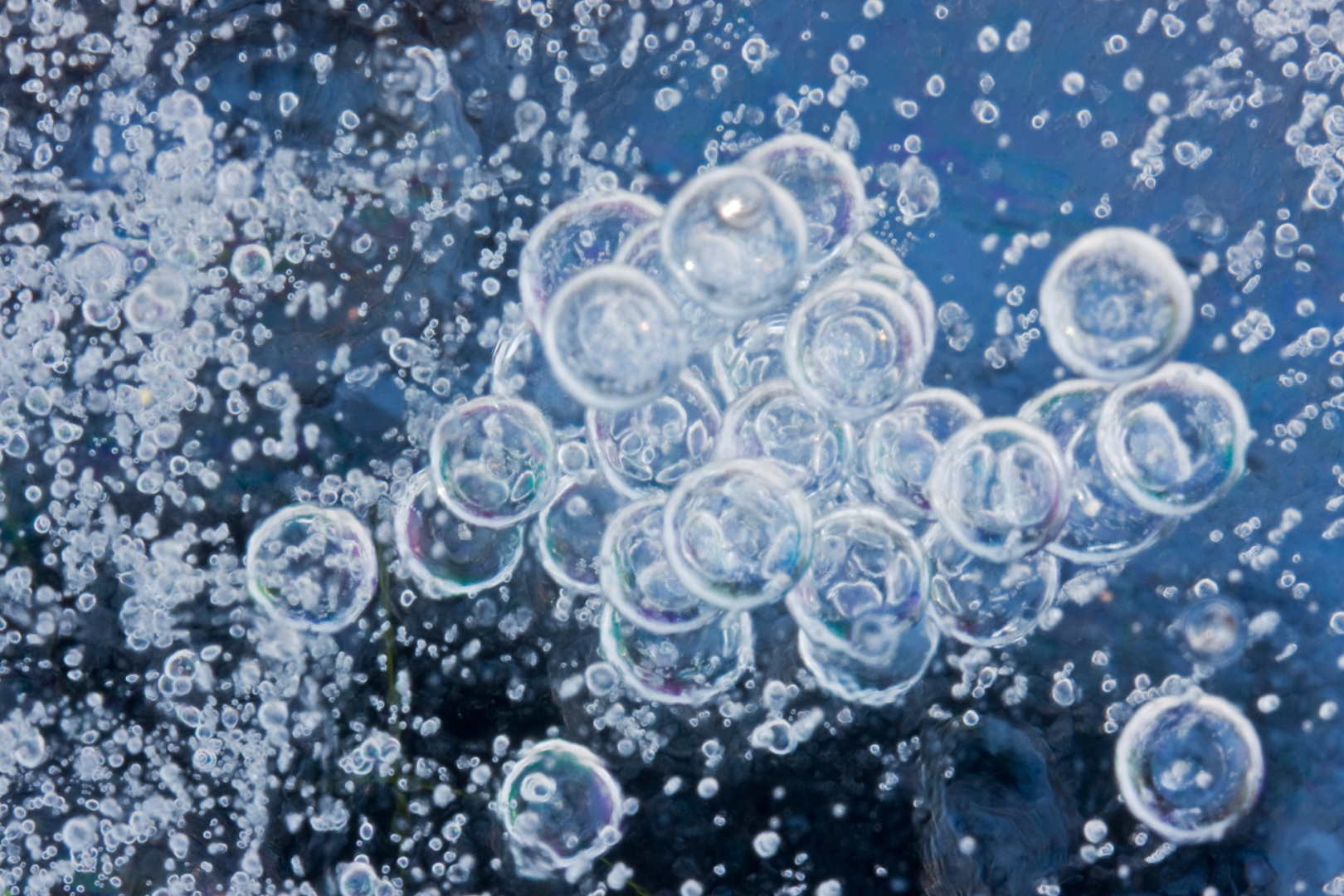 Webinar: Energy Efficient CCS								