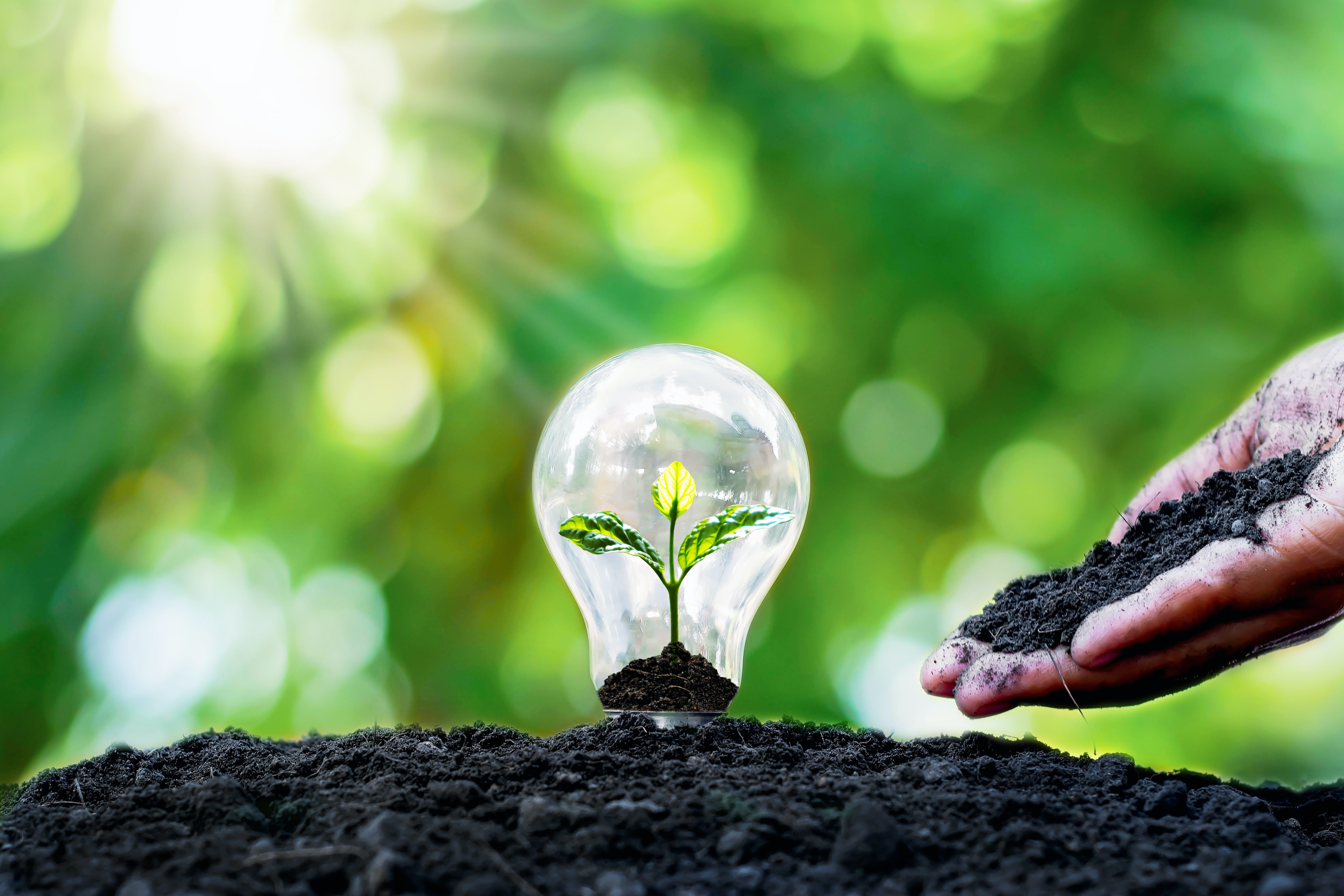 Webinar: Renewable Power and its Application in Trinidad and Tobago