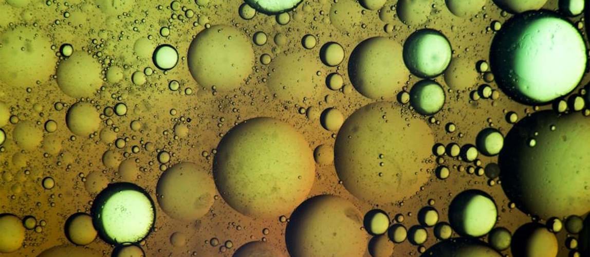 PHOODSEP: Challenges and Innovation in Pharmaceutics and Novel Foods Downstream Processing