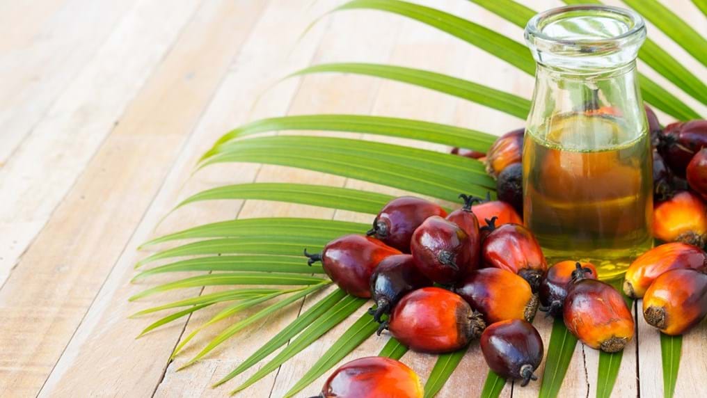 Celebrate 100 years of Palm Oil