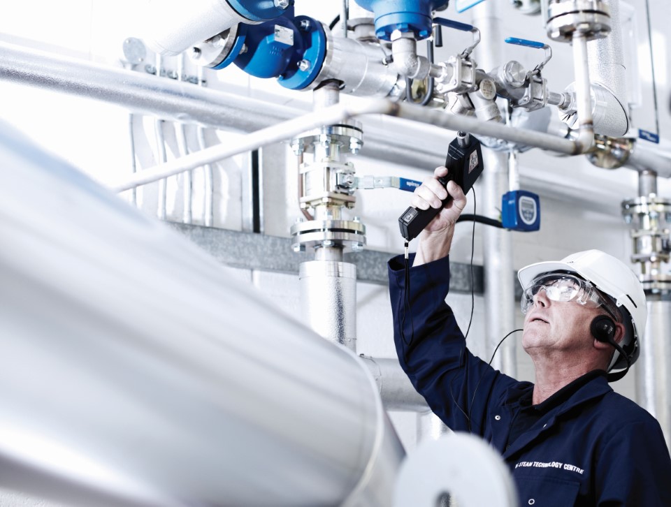 Webinar: Steam: What the Future Holds