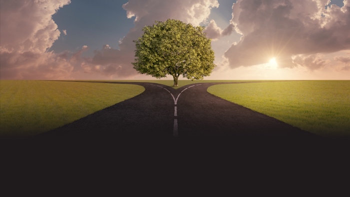 Video series: Your career in chemical engineering