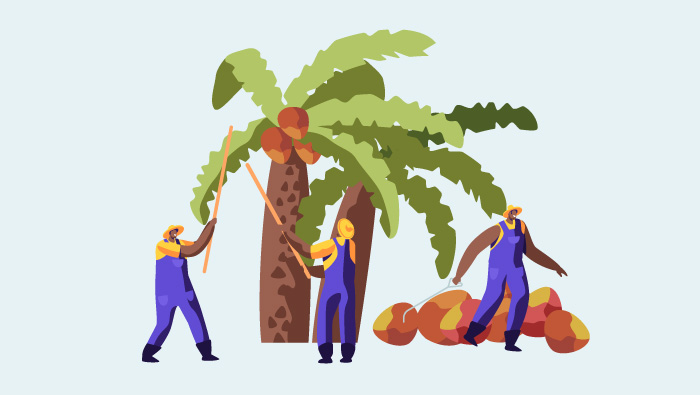 Webinar: Responsible Palm Oil Processing