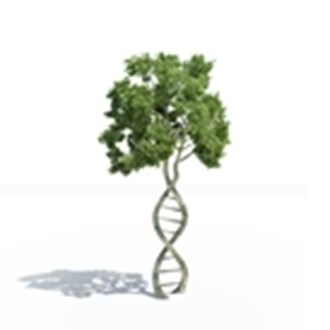 The challenge of assessing emerging technologies with life cycle assessment (LCA)
