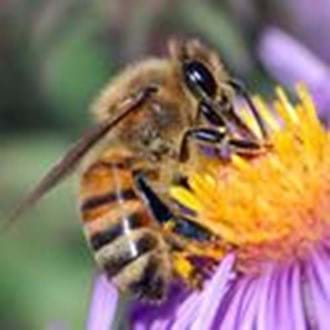 Resilience and sustainability