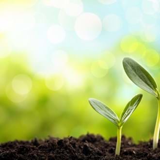 The Institute of Food Science and Technology (IFST) Sustainability Knowledge Hub