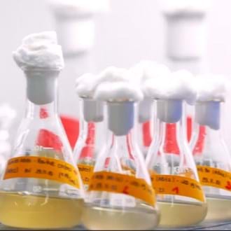 University College London: Translating life science discoveries into products and processes