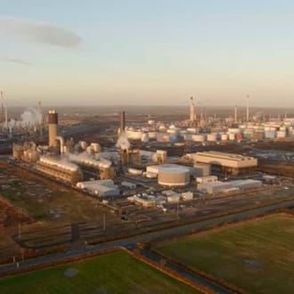 Wood: Unlocking solutions to some of the world's biggest challenges