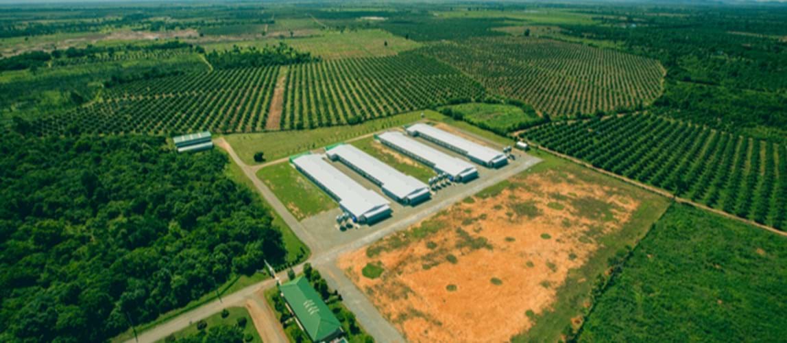Webinar: Optimising biogas production with innovative biological solution