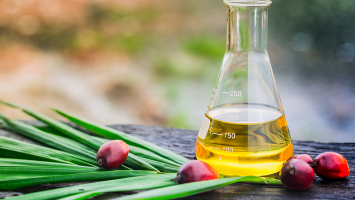 Symposium: RSPO-Monash Joint Symposium 2023