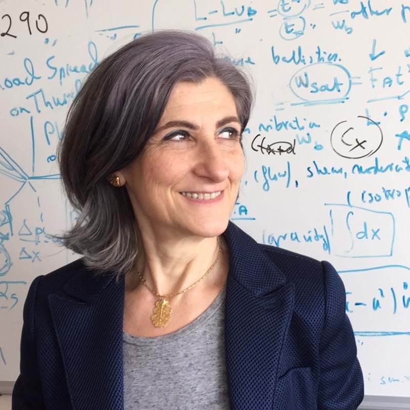 Raffaella Ocone
