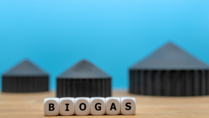 Biogas to Grid: Going Beyond Energy Neutrality 