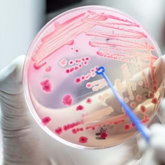 Tackling AMR in wastewater in a carbon neutral way