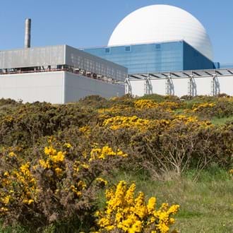 Nuclear co-generation course by IAEA