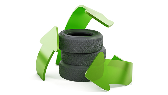 Northland Site Visit to Golden Bay Cement