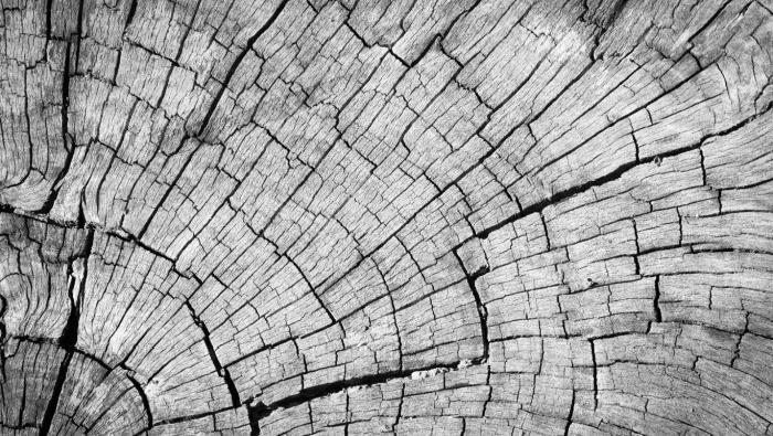 Webinar: Working in Academia with Industry: 20 Years of Colloid Research