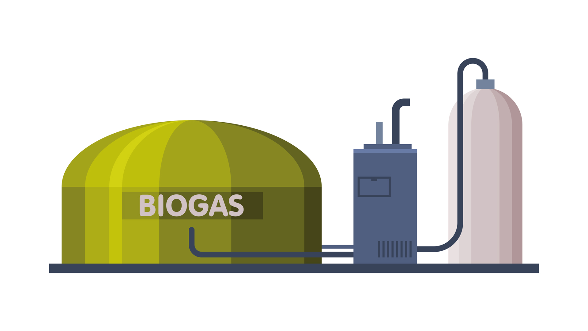 Webinar: Biogas Utilisation