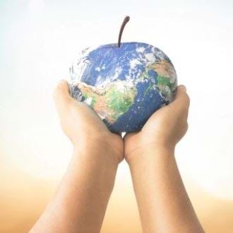 Science Direct – Optimising diets to reach absolute planetary environmental sustainability through consumers