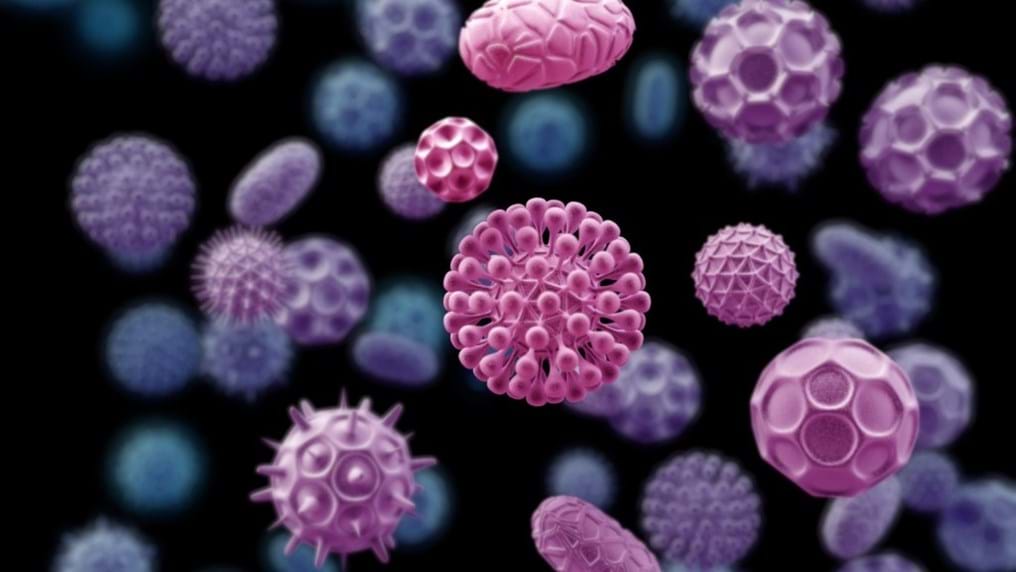 Day 233: Bacteria on a factory scale