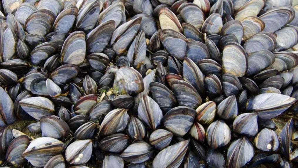 Day 87: Inspired by nature