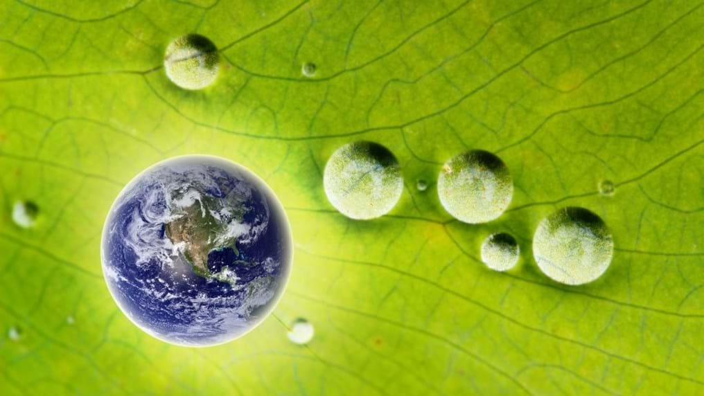 Day 95: Going green is here to stay