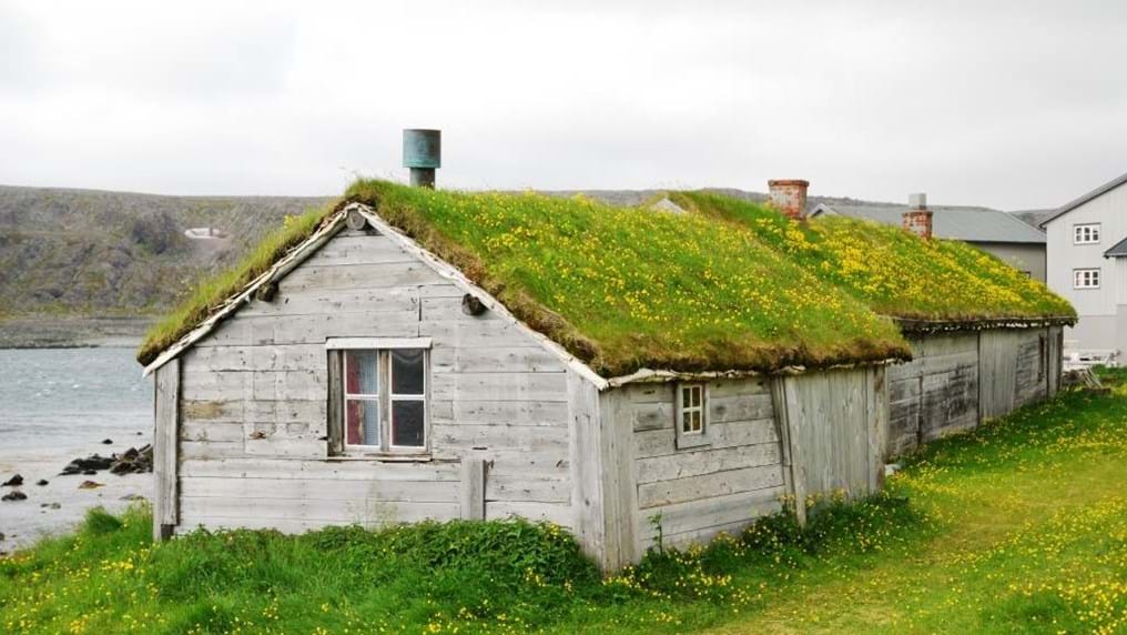 Day 113: The environmentally-friendly roof