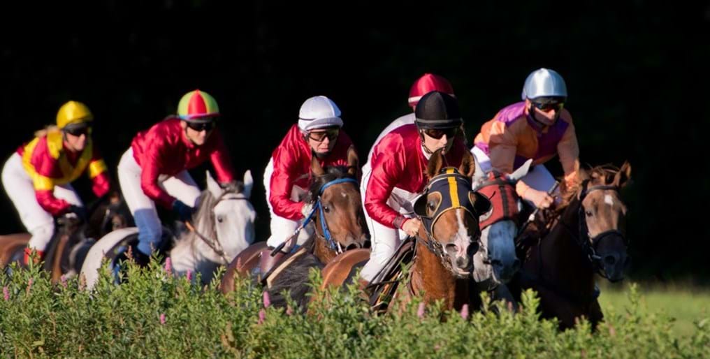 Day 120: Just horsing around