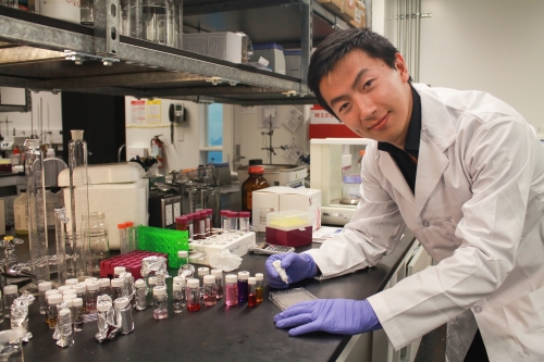 Image Credit | Shengyan (Sandy) Liu, University of Waterloo