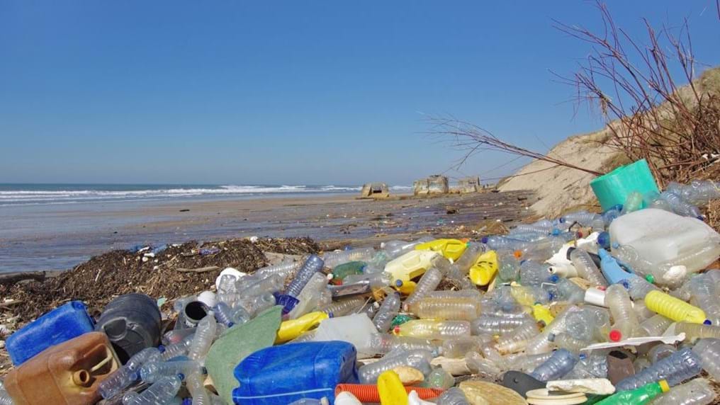 Day 151: Plastic waste and oceans of opportunity